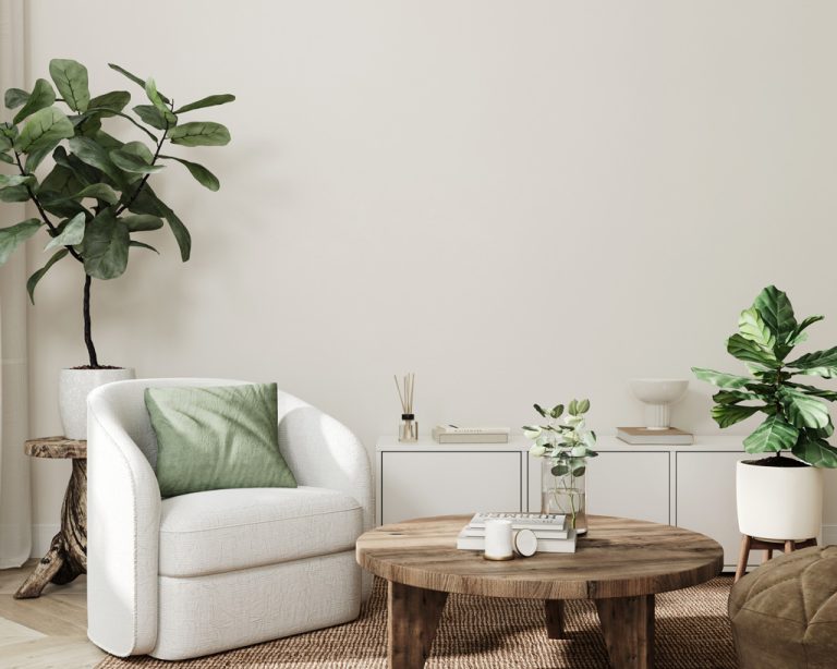 Protéger votre Fauteuil Relax – Housse pour fauteuil adapté aux séniors